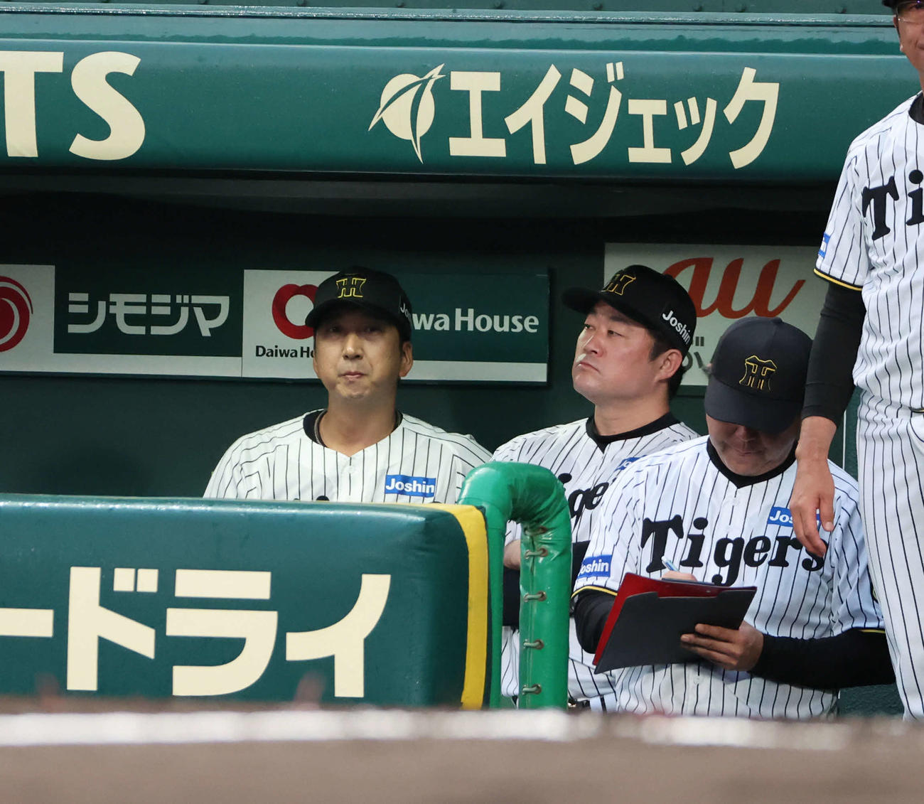 阪神対巨人　ベンチで試合を見る阪神藤川監督（撮影・西尾就之）