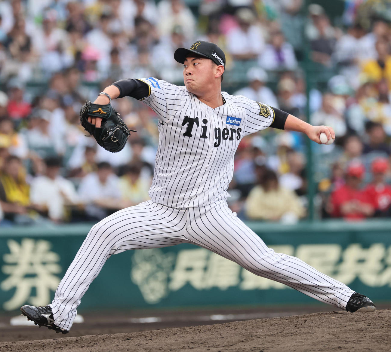 阪神桐敷拓馬（2025年5月18日撮影）