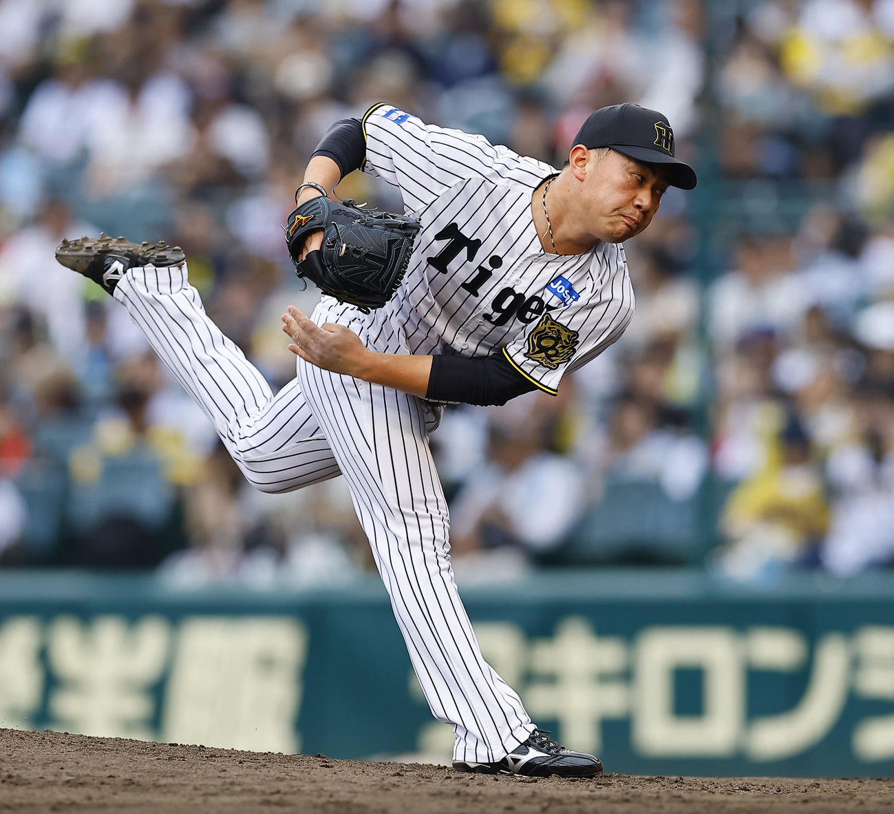 阪神桐敷拓馬（2025年5月18日撮影）