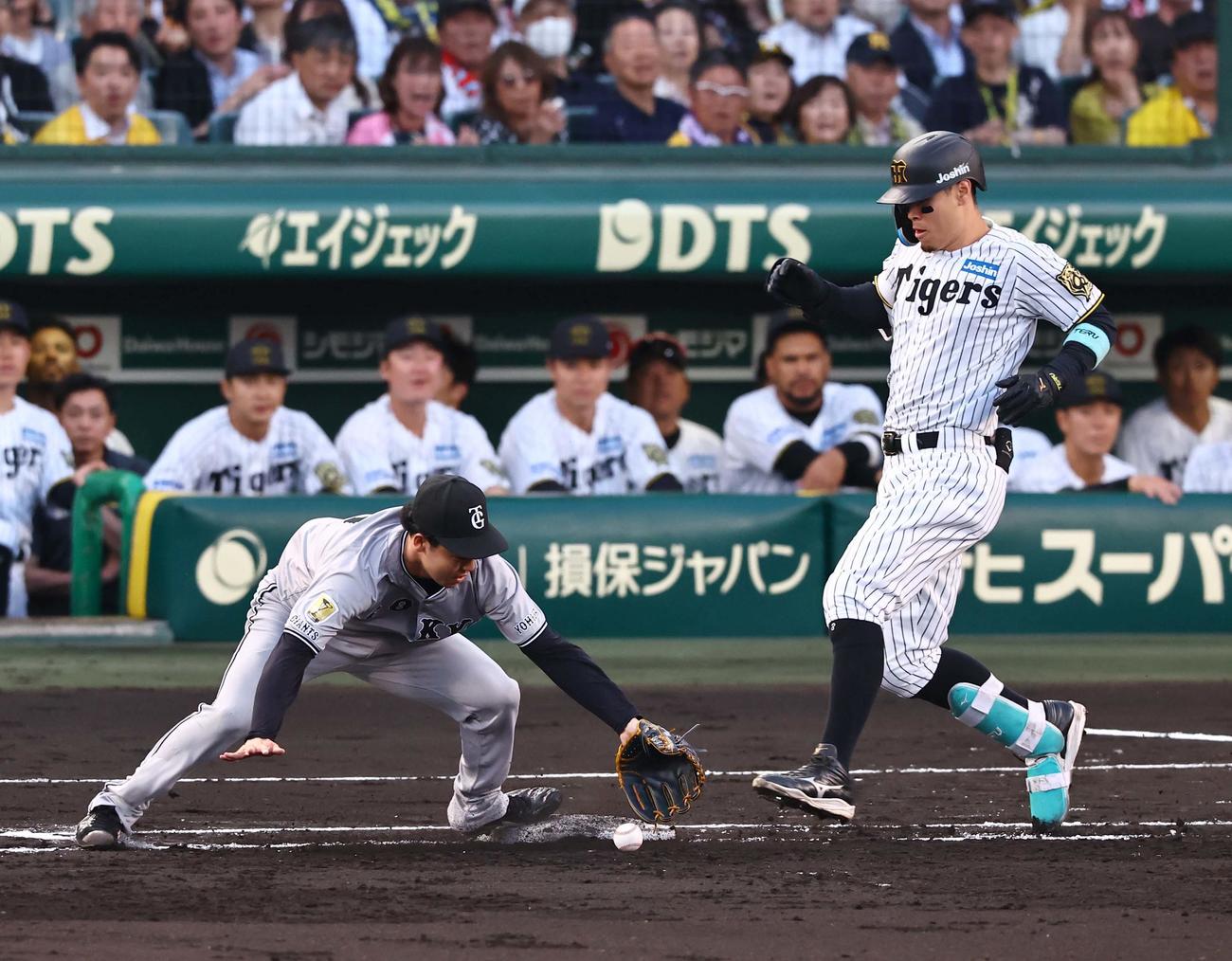 阪神対巨人　2回裏阪神無死、山崎（左）は増田陸の悪送球を捕れず佐藤輝の出塁を許す（撮影・上田博志）