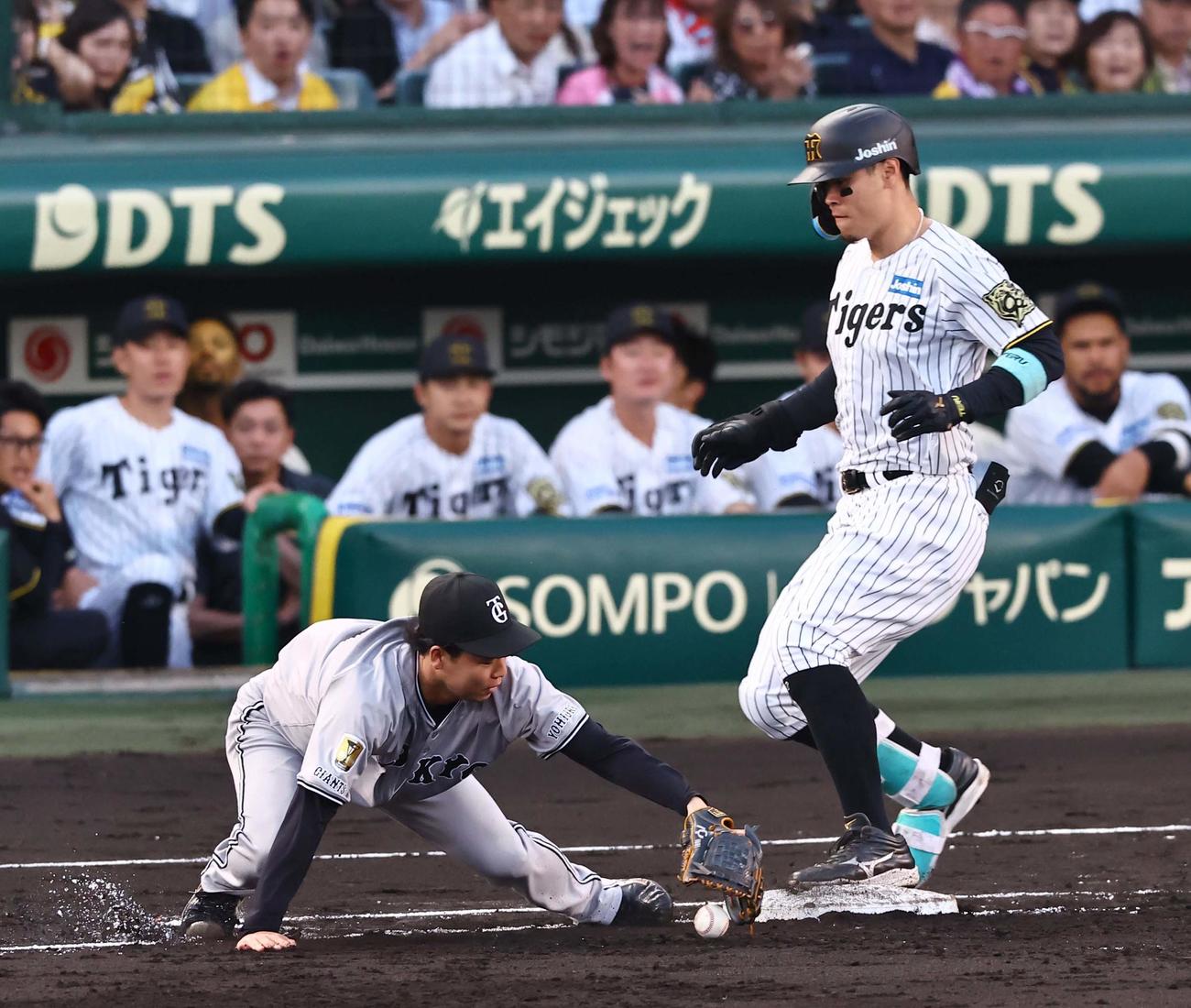 阪神対巨人　2回裏阪神無死、山崎（左）は増田陸の悪送球を捕れず佐藤輝の出塁を許す（撮影・上田博志）