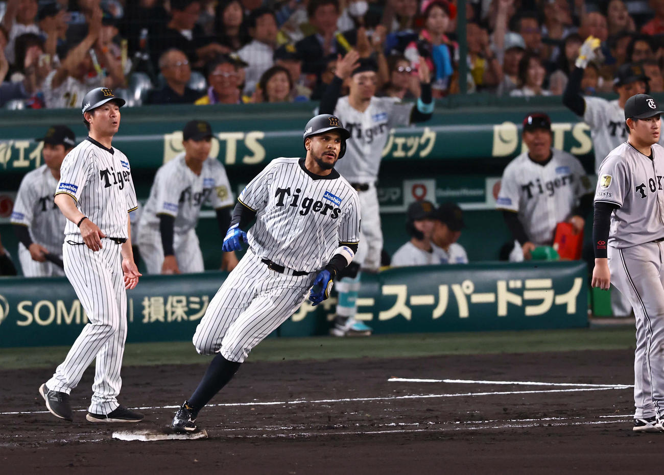 阪神対巨人　8回裏阪神無死、ヘルナンデスは左前に初安打を放つ（撮影・上田博志）