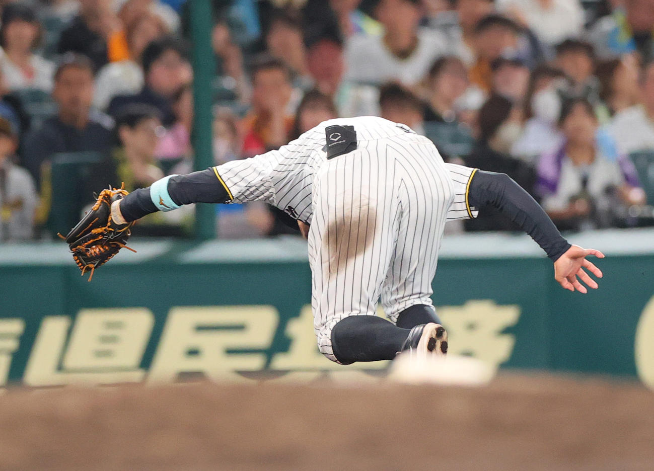 阪神対巨人　8回表巨人1死、佐藤輝は浅野の三ゴロを好捕する（撮影・上山淳一）