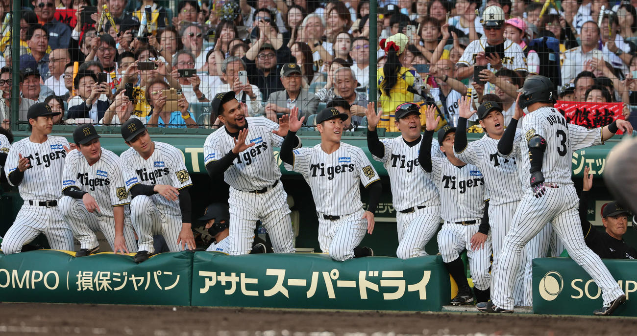 阪神対巨人　2回裏阪神無死一塁、本塁打を放った大山を迎える阪神ナイン（撮影・西尾就之）