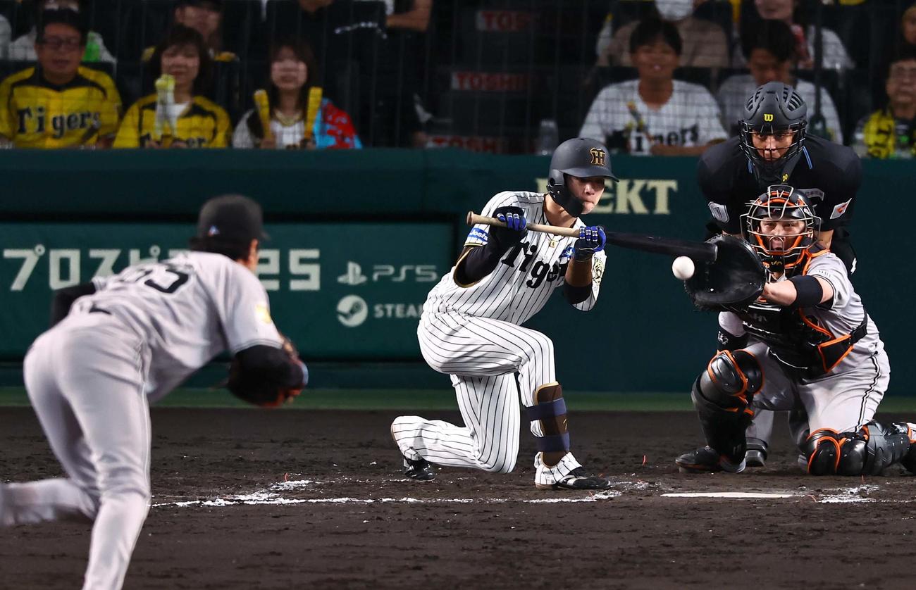 阪神対巨人　8回裏阪神無死一、二塁、中野はバントは石川の野選となる（撮影・上田博志）
