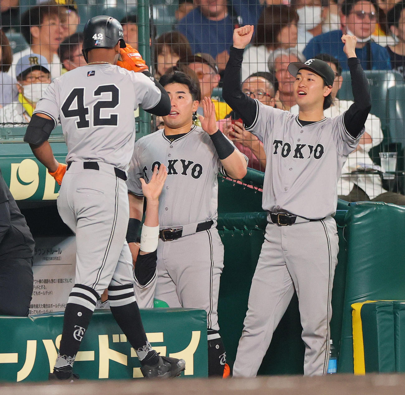 阪神対巨人　7回表巨人無死、山崎伊（右）は左越え本塁打を放った代打ヘルナンデス（左）を出迎える（撮影・上山淳一）
