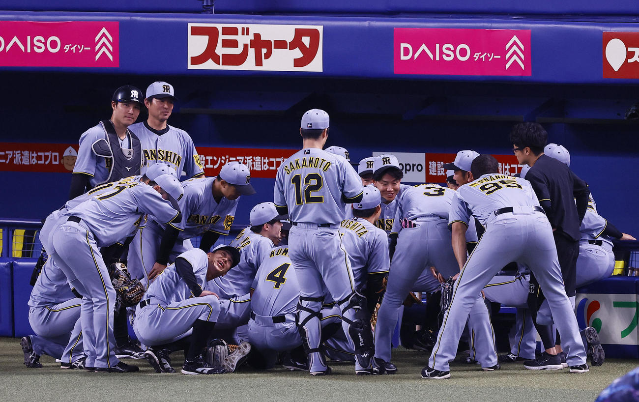 中日対阪神　円陣を組む阪神ナイン（撮影・藤尾明華）