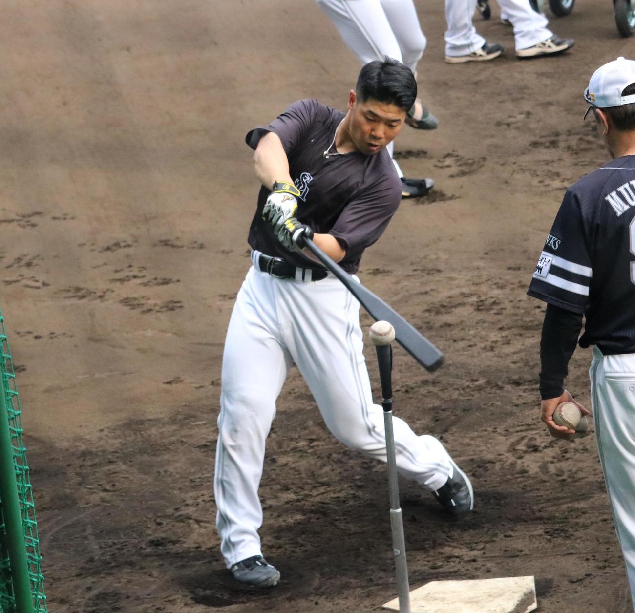 ソフトバンク近藤が2軍の阪神戦前練習でティー打撃を行う（撮影・林亮佑）