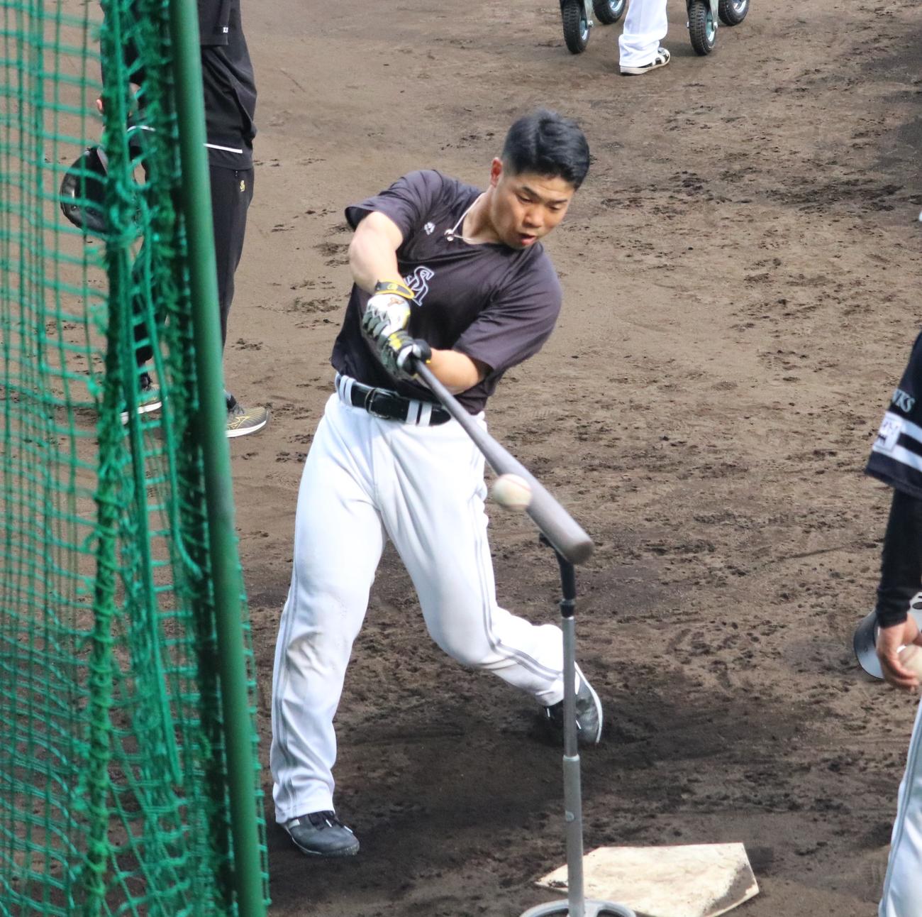 ソフトバンク近藤が2軍の阪神戦前練習でティー打撃を行う（撮影・林亮佑）