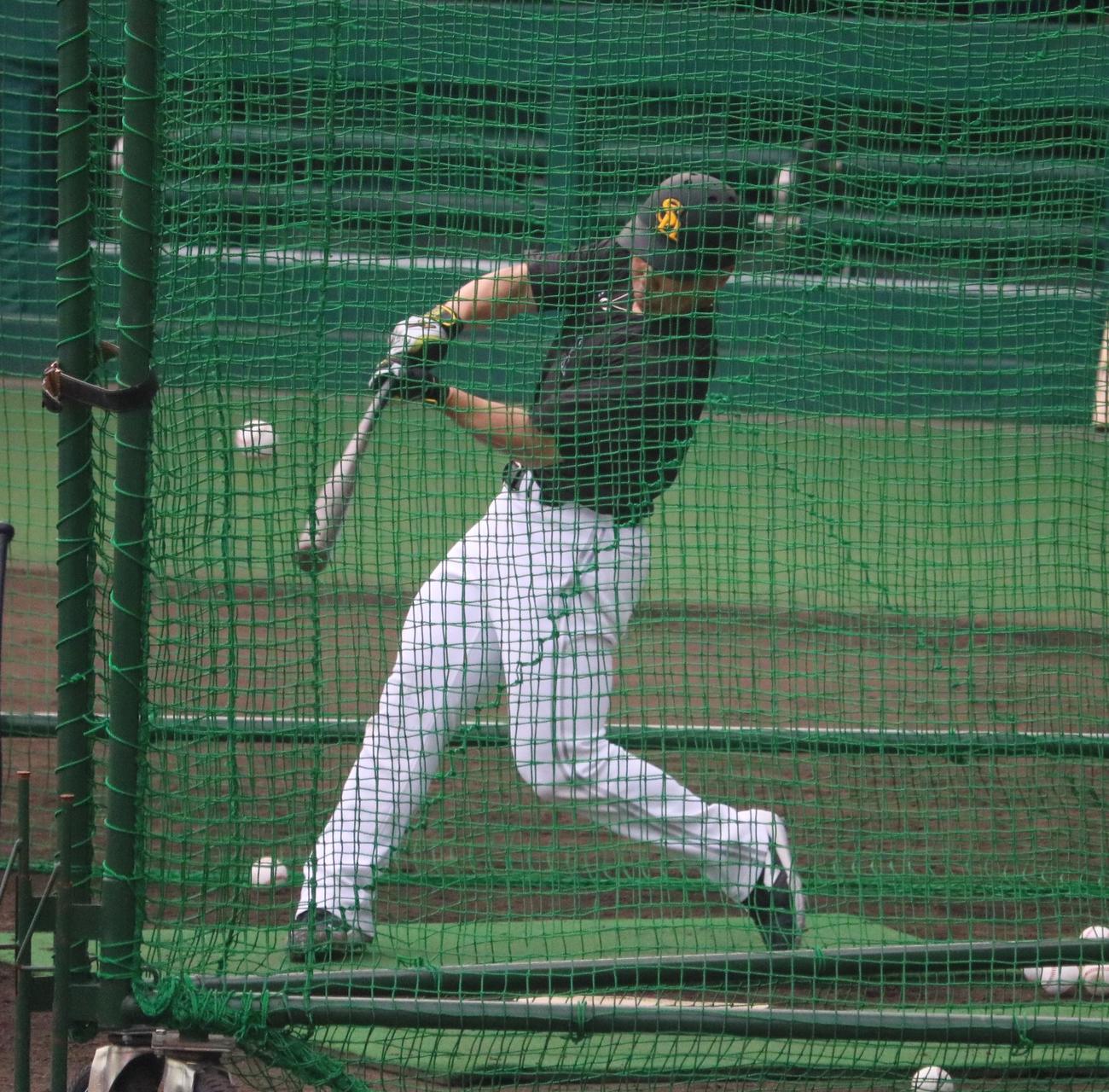 ソフトバンク近藤が2軍の阪神戦前練習でフリー打撃を行う（撮影・林亮佑）