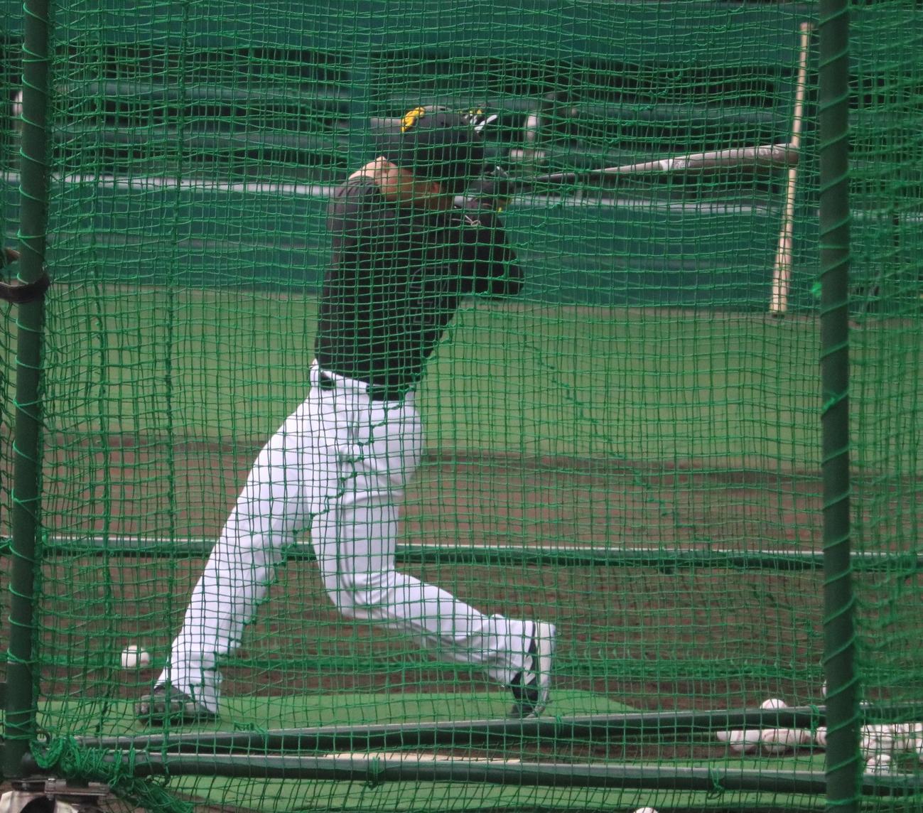 ソフトバンク近藤が2軍の阪神戦前練習でフリー打撃を行う（撮影・林亮佑）