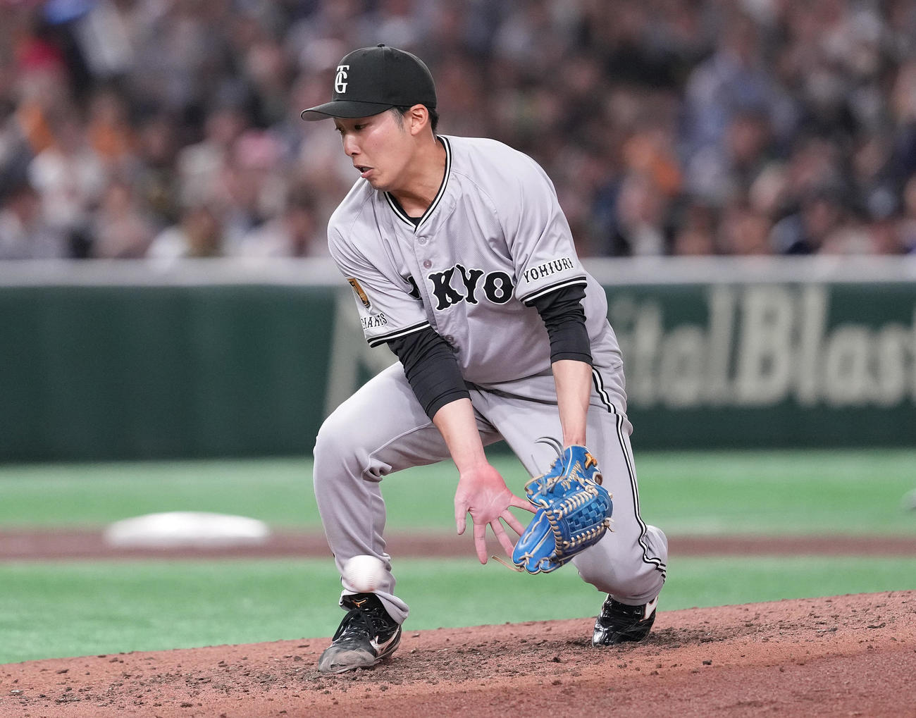 巨人対ヤクルト　5回表ヤクルト2死一、二塁、岩田の打球を好捕する赤星（撮影・鈴木みどり）