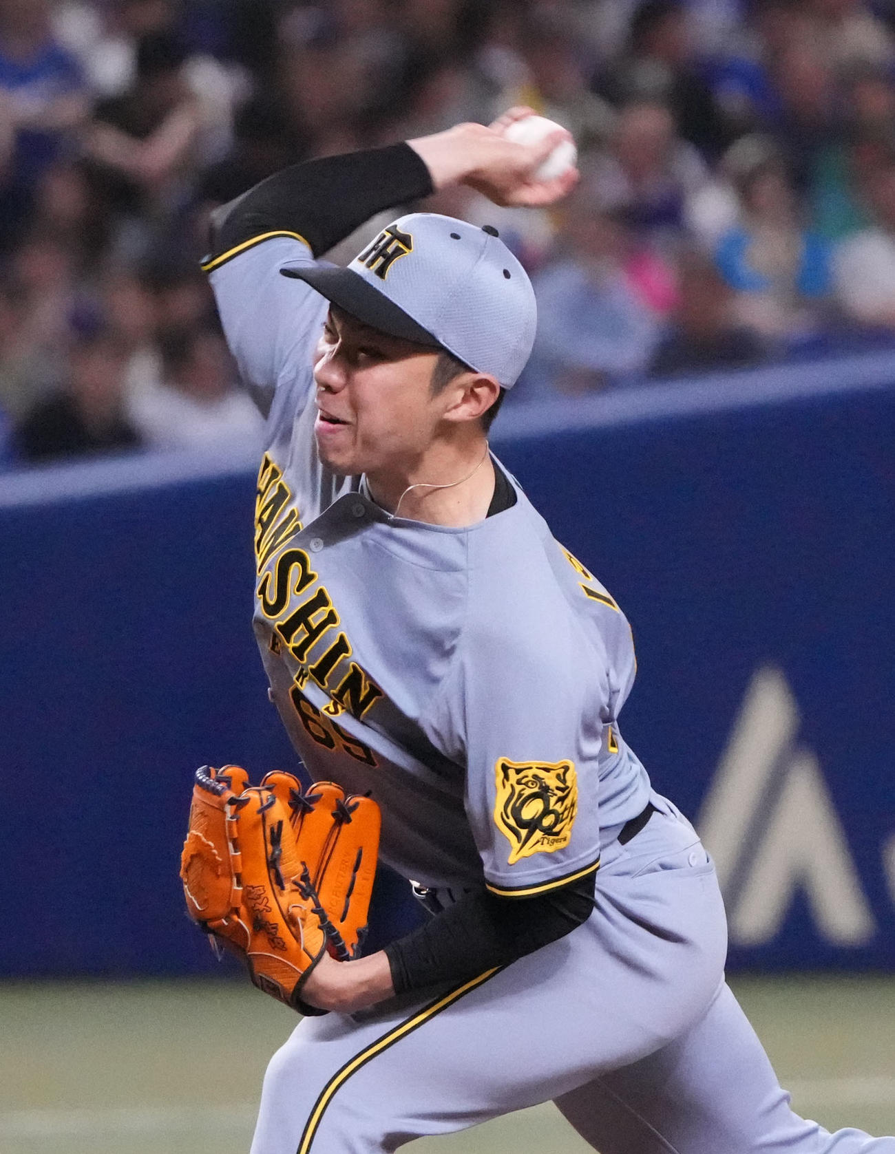 中日対阪神　8回裏、阪神2番手で登板する石井（撮影・森本幸一）