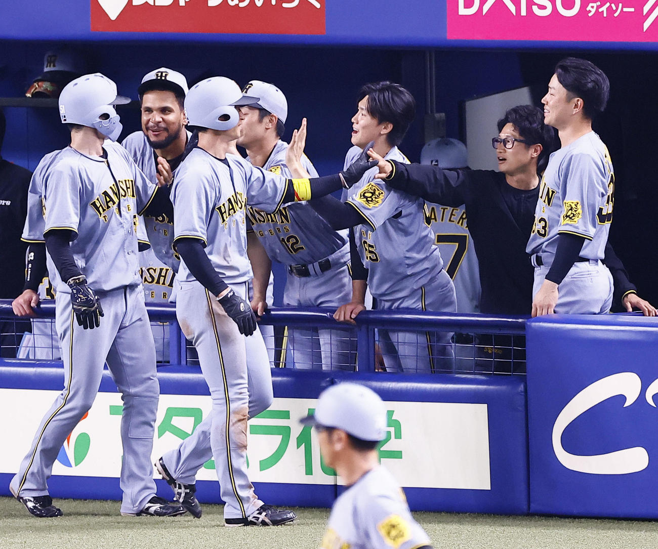 中日対阪神　11回表阪神1死二、三塁、森下の2点適時二塁打で生還した近本らを出迎える湯浅（右から3人目）（撮影・藤尾明華）