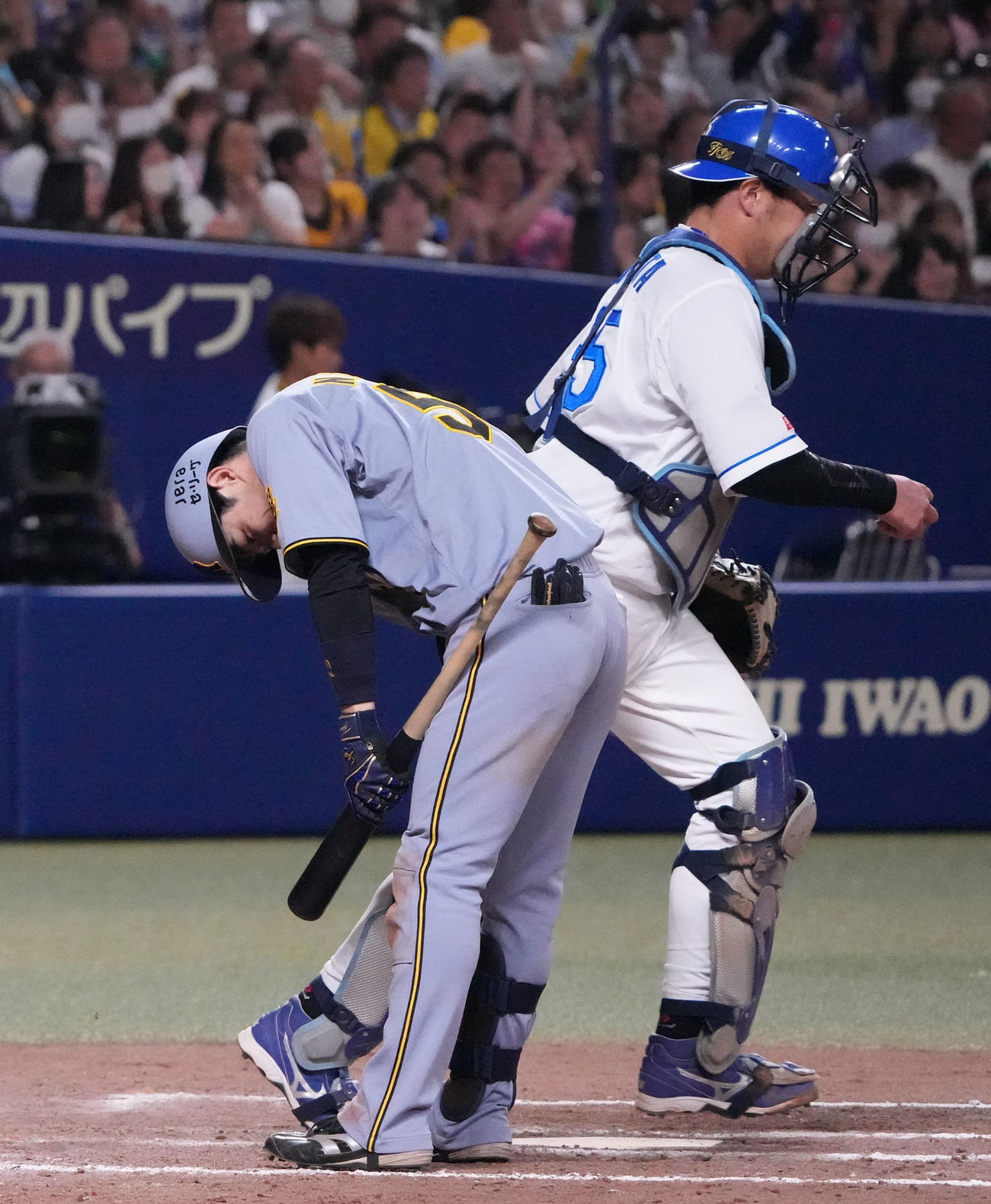 中日対阪神　9回表阪神2死二塁、見逃し三振に倒れる中野（左）捕手は木下（撮影・森本幸一）