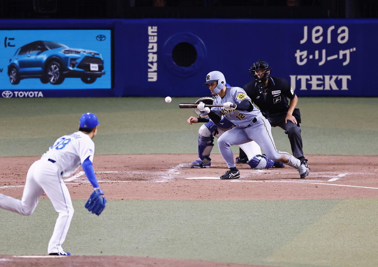 中日対阪神　5回表阪神1死二、三塁、投前スクイズを決める坂本。投手松葉（撮影・藤尾明華）