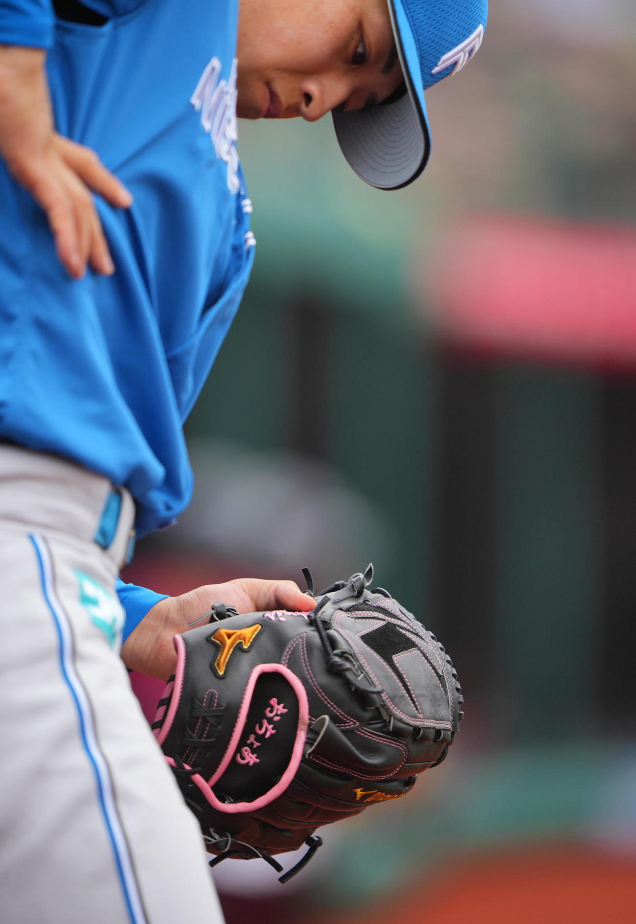 楽天対日本ハム　日本ハム先発の細野のグラブには「おちょあ」の文字の刺しゅう（撮影・垰建太）