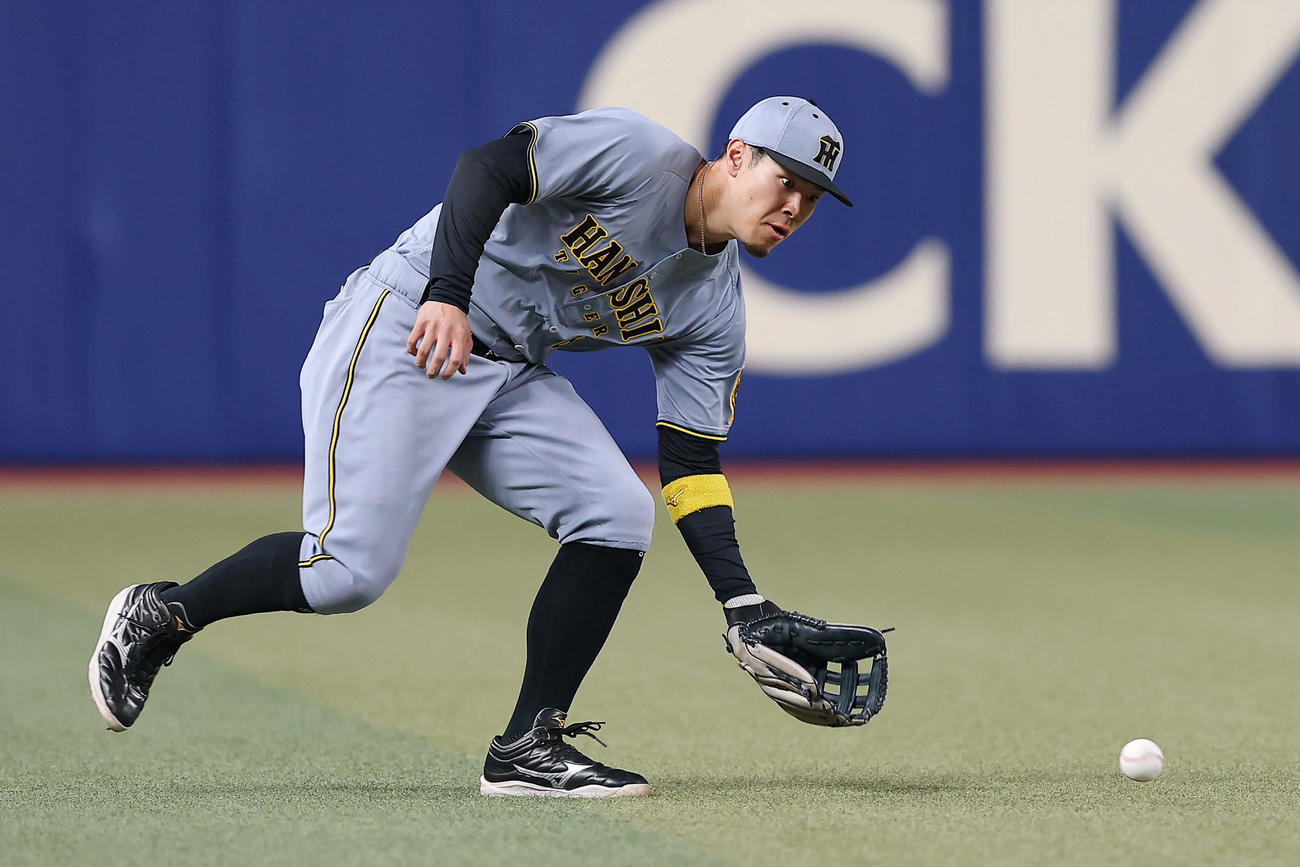 中日対阪神　試合前、左翼でシートノックを受ける阪神佐藤輝（撮影・前田充）