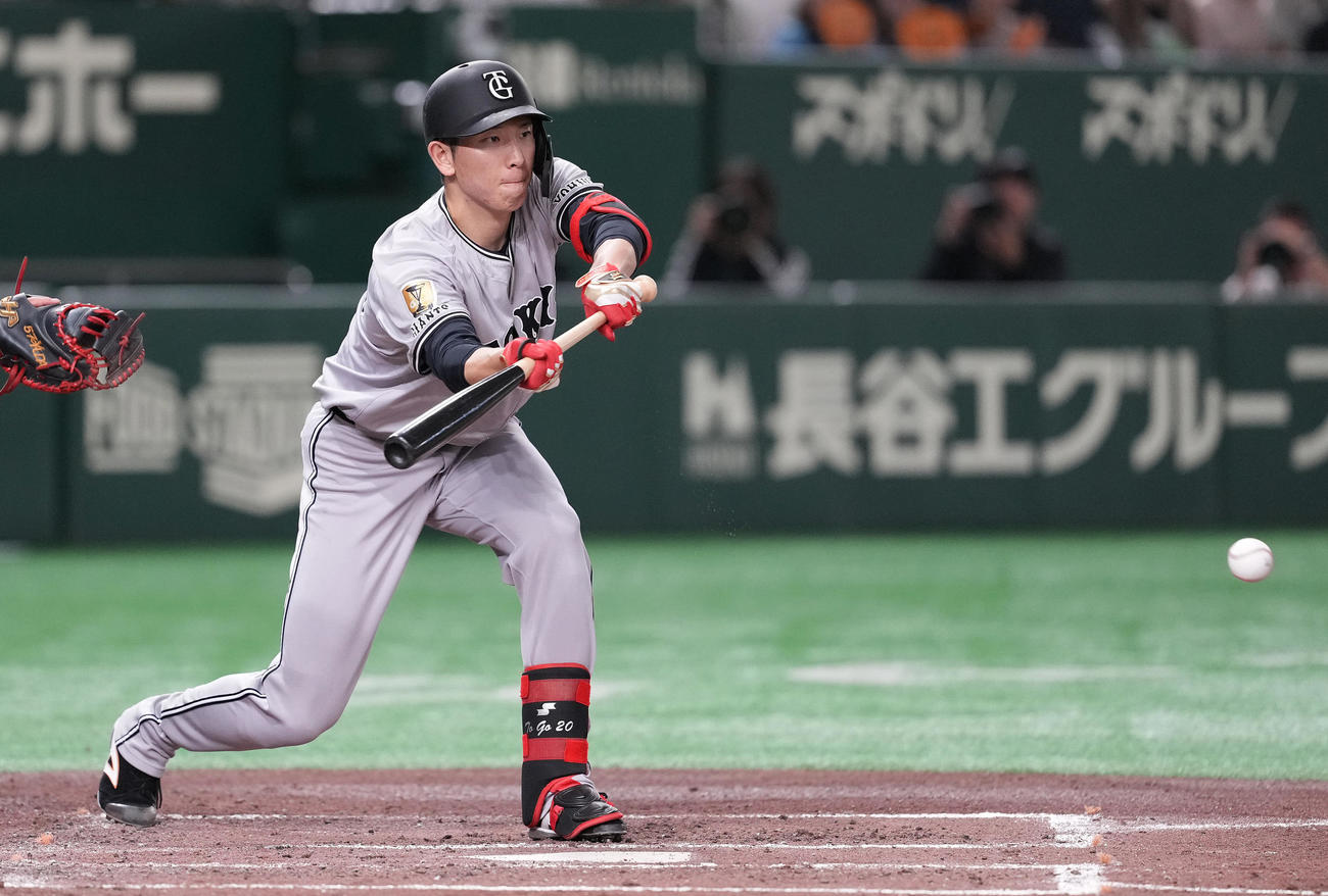 巨人対ヤクルト　2回裏巨人1死一塁、送りバントを決める戸郷（撮影・鈴木みどり）