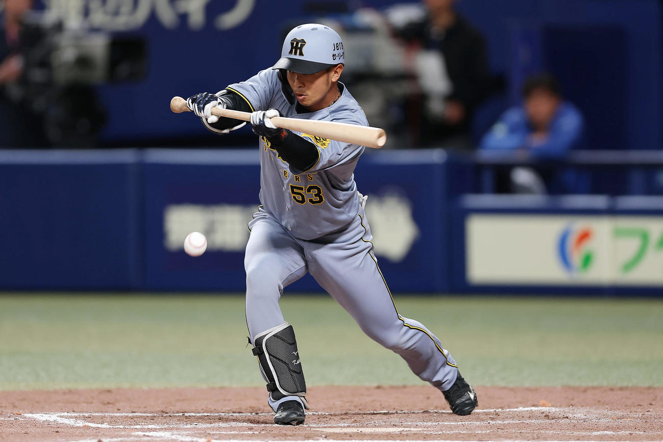 中日対阪神　9回表阪神無死二塁、バントする代打島田（撮影・前田充）