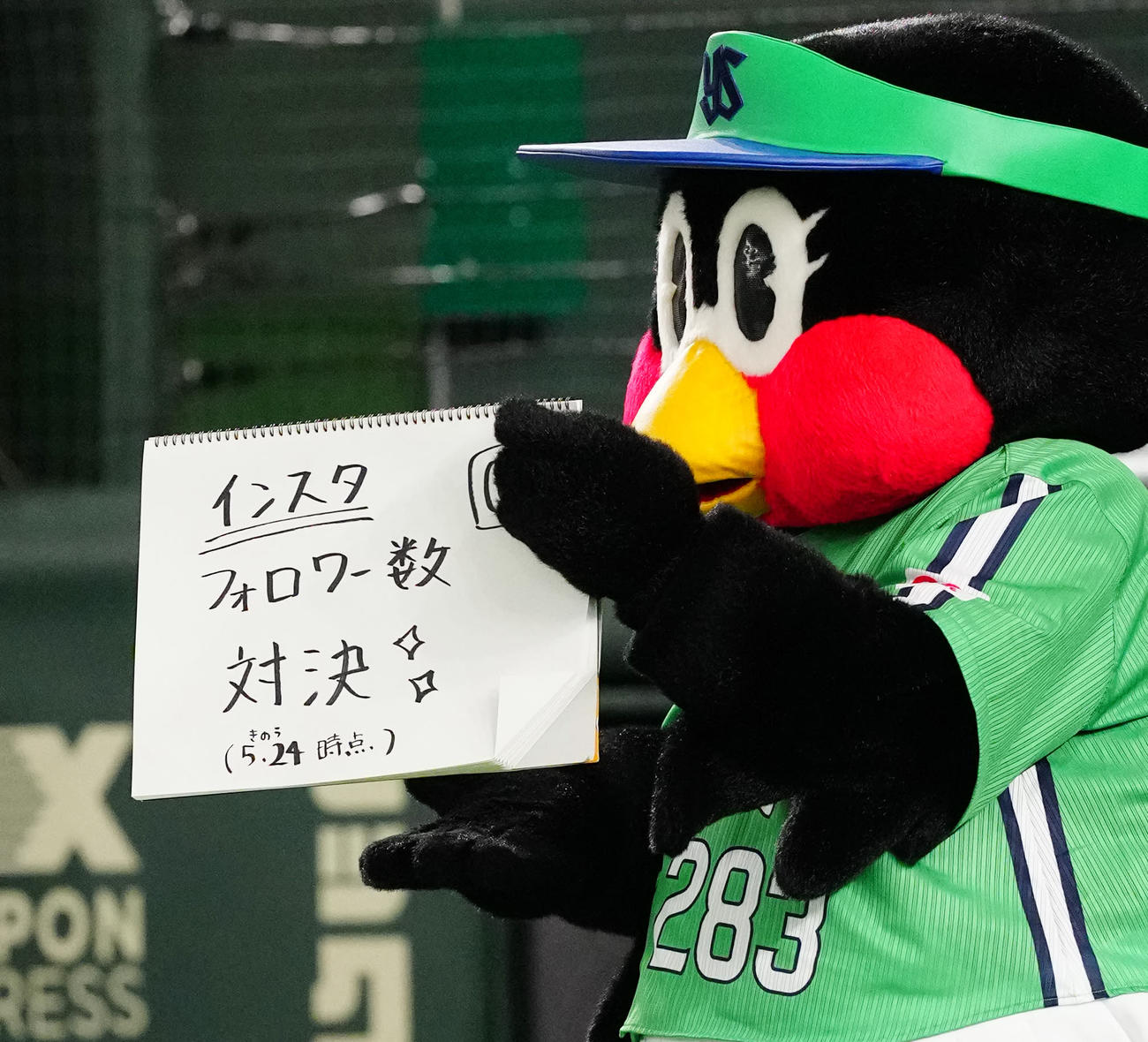 巨人対ヤクルト　試合前、フリップ芸を披露するつばみ（撮影・江口和貴）