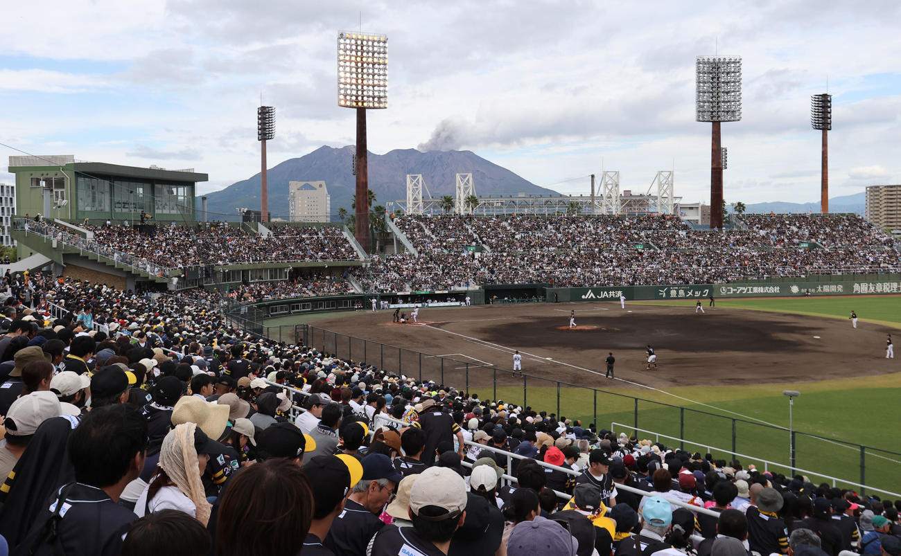 ソフトバンク対オリックス　球場全景、後方には桜島（撮影・梅根麻紀）