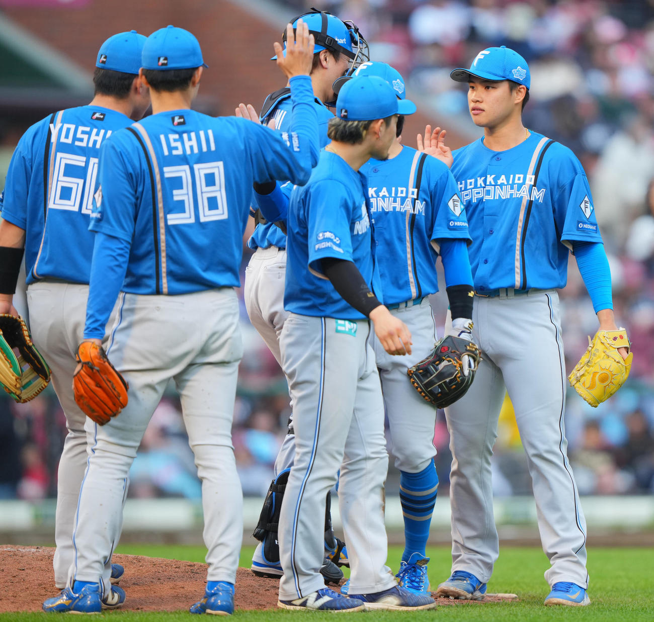 楽天対日本ハム　楽天と引き分けタッチを交わす日本ハム孫（右）らナイン（撮影・垰建太）