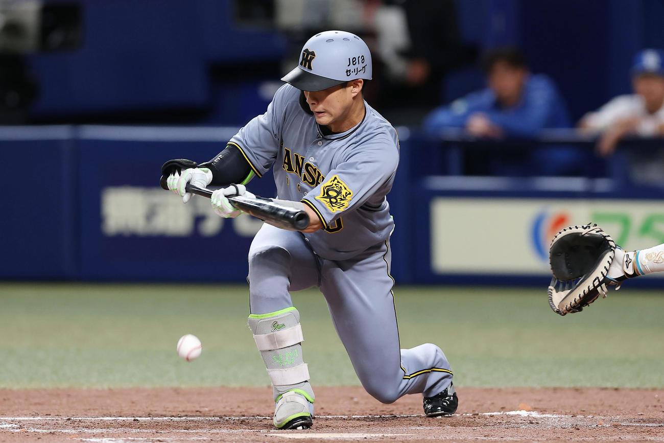 中日対阪神　5回表阪神無死二、三塁、犠打を決める木浪（撮影・前田充）