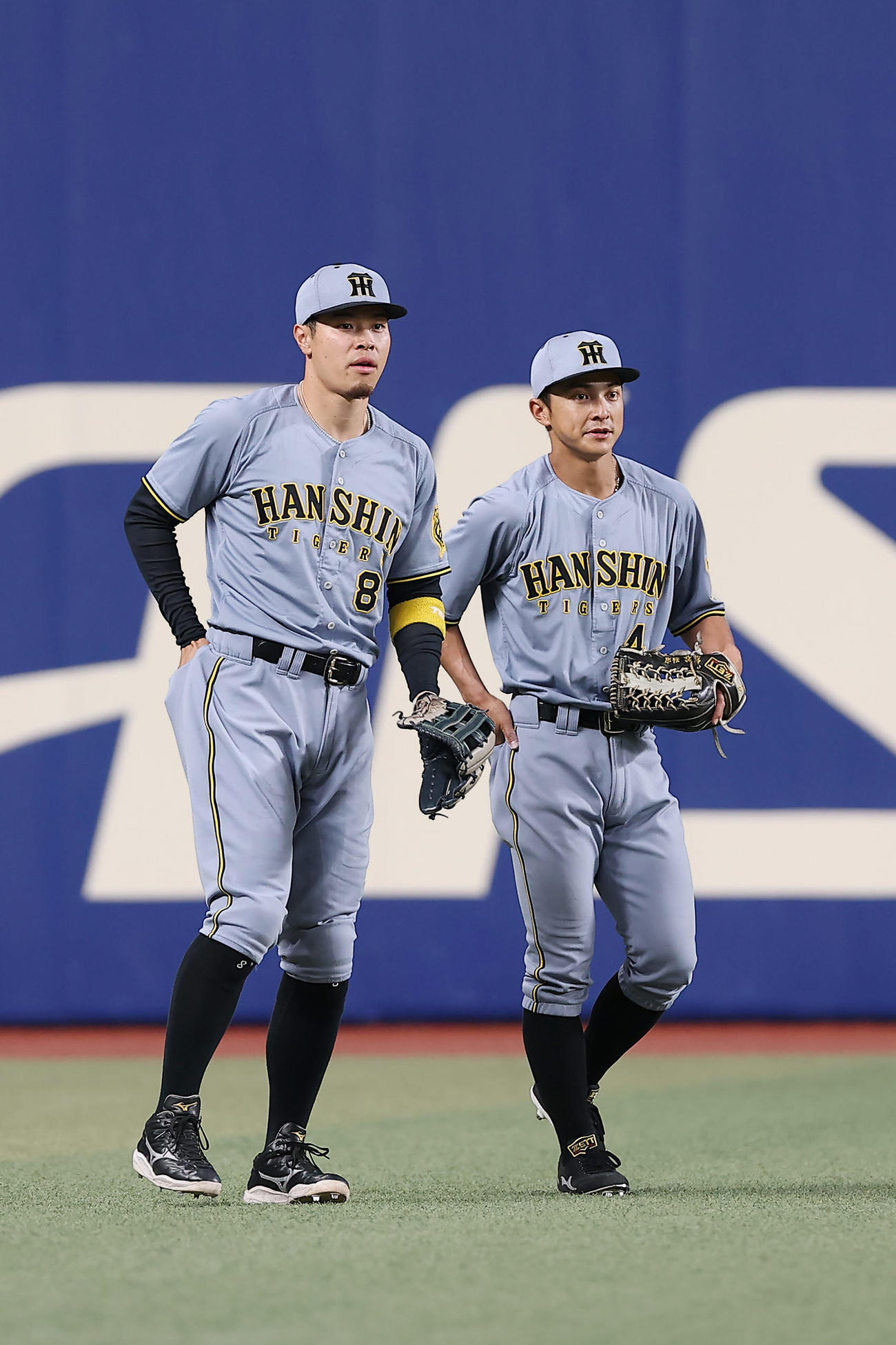 中日対阪神　試合前、左翼でシートノックを受ける阪神佐藤輝（左）と熊谷（撮影・前田充）