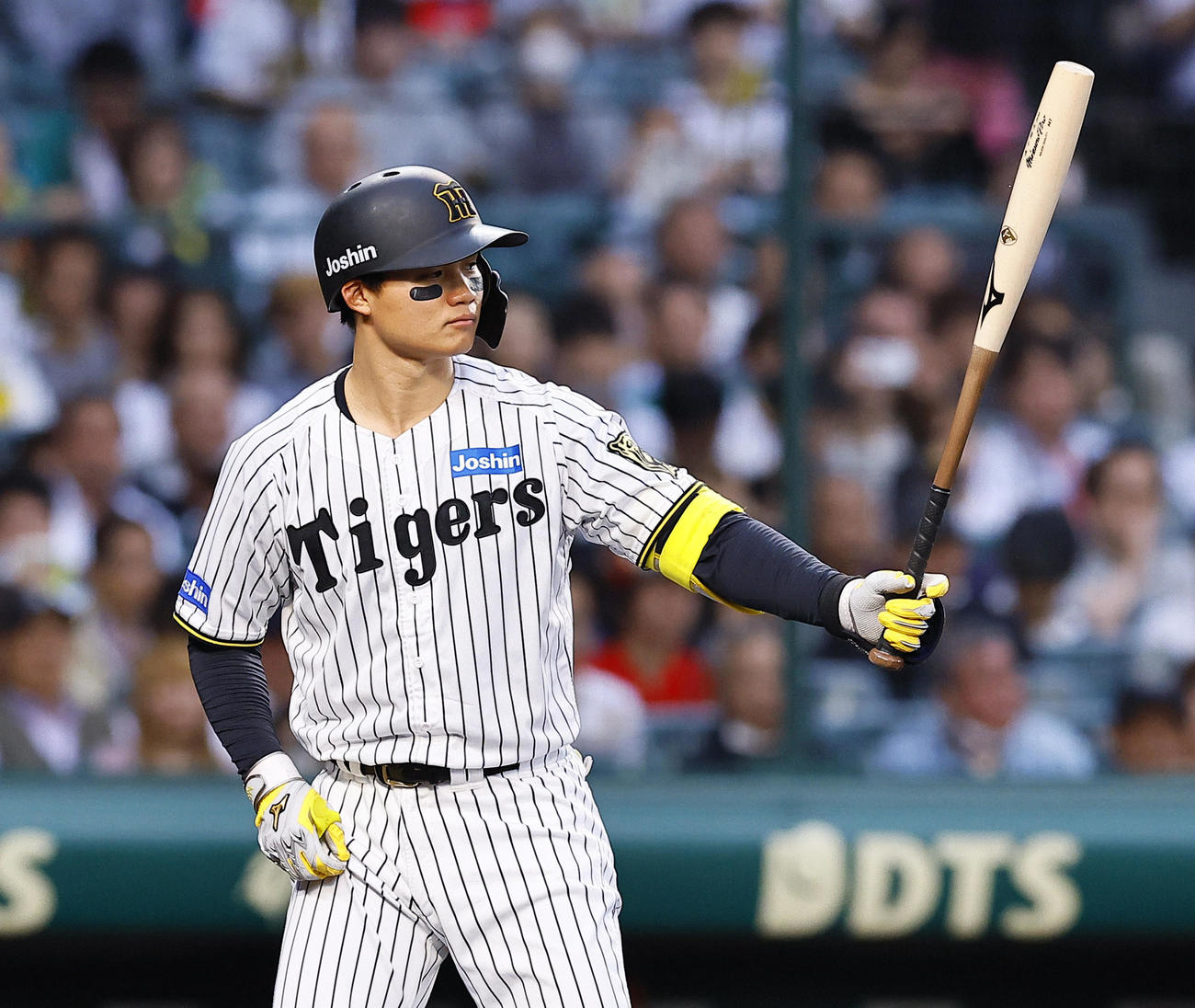 阪神森下翔太（2025年5月16日撮影）