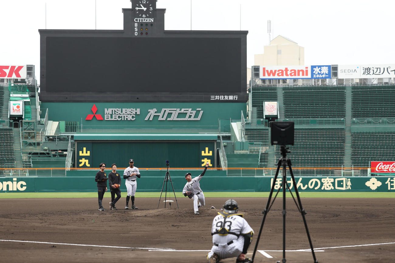 甲子園球場のマウンドで投球練習を行う阪神門別（撮影・前田充）