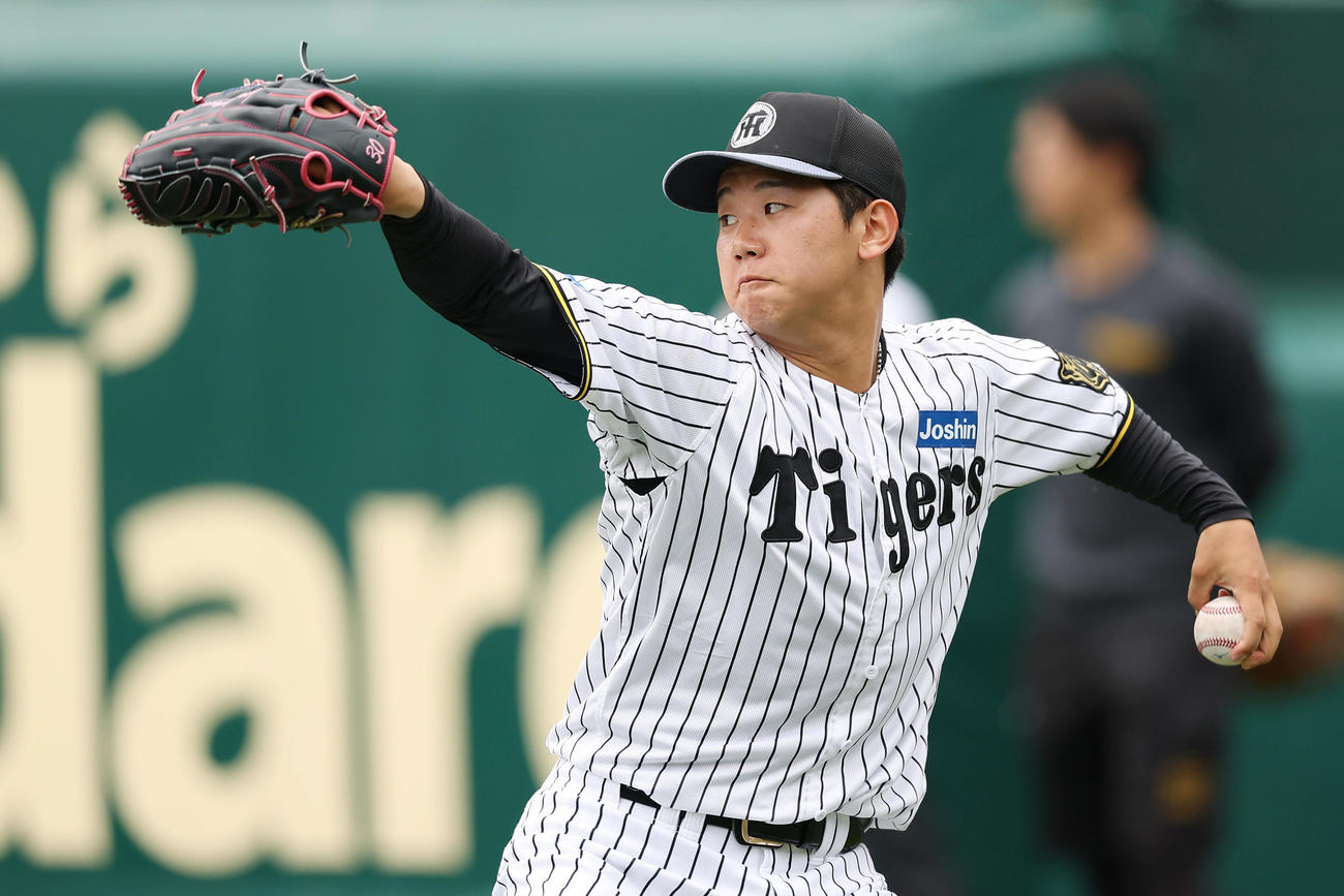キャッチボールで調整する阪神門別（撮影・前田充）