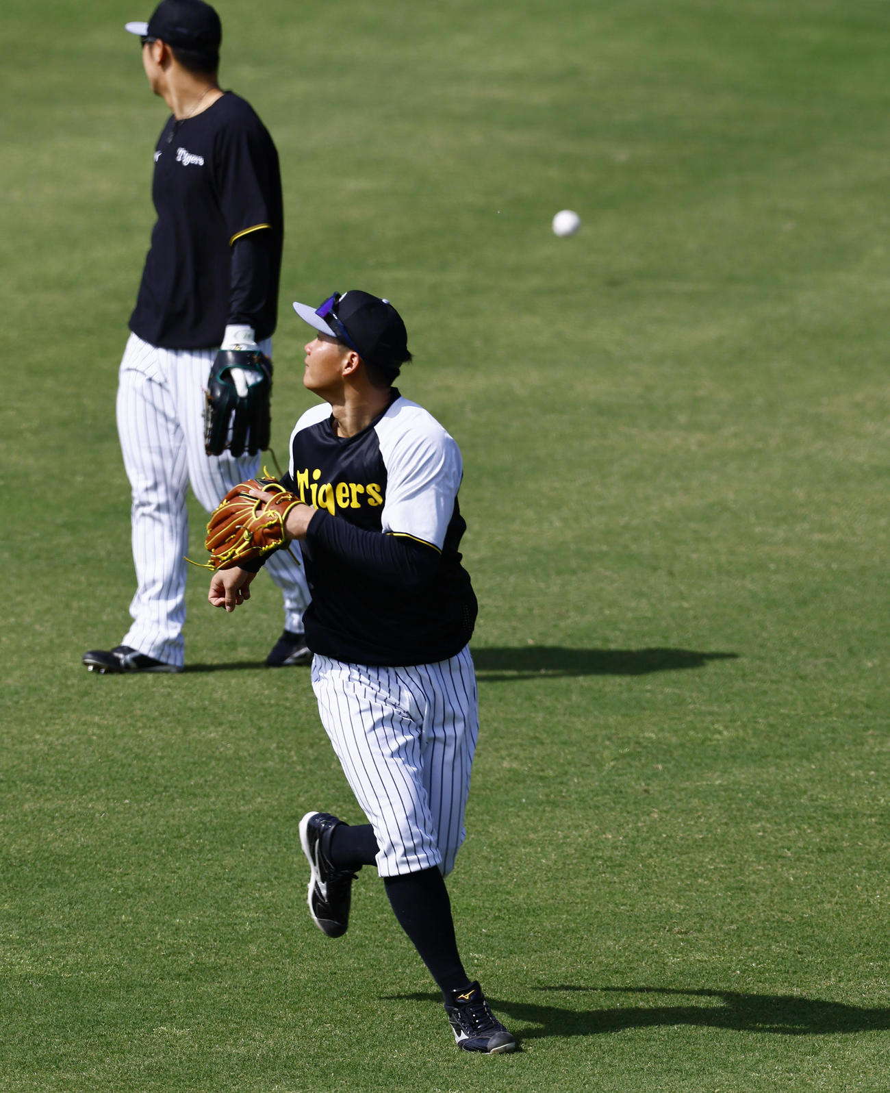 阪神対DeNA　左翼位置で守備練習をする阪神森下（撮影・藤尾明華）