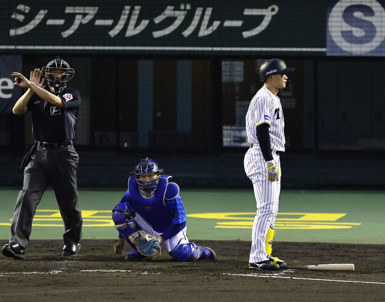 阪神対DeNA 4回裏阪神1死、死球を受けた森下（撮影・藤尾明華）