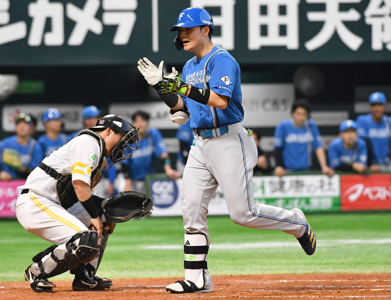 ソフトバンク対日本ハム　5回表日本ハム1死、先制の右越え本塁打を放ち、生還する清宮幸（撮影・岩下翔太）