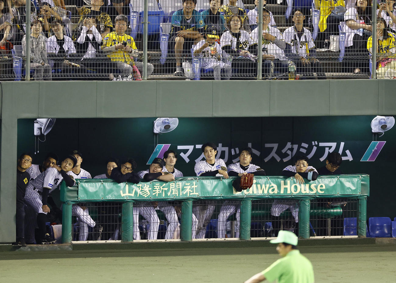 阪神対DeNA 5回を終え、打ち上げられる花火をベンチから見つめる（右から2番目から）阪神佐藤輝、才木、木浪、中野（撮影・藤尾明華）