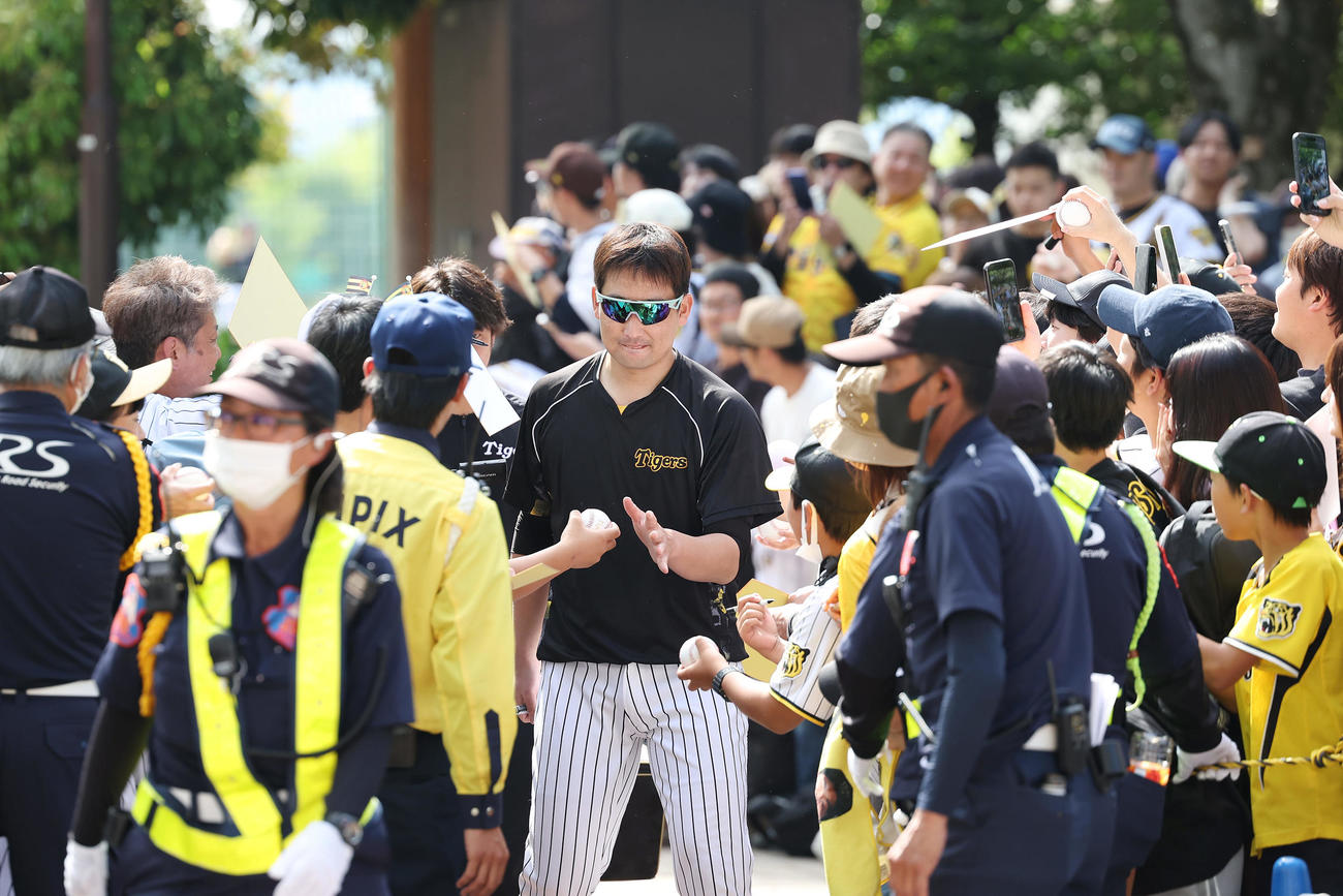 阪神対DeNA　練習を終えファンの声援を受けながら移動する阪神岩崎（中央）（撮影・前田充）