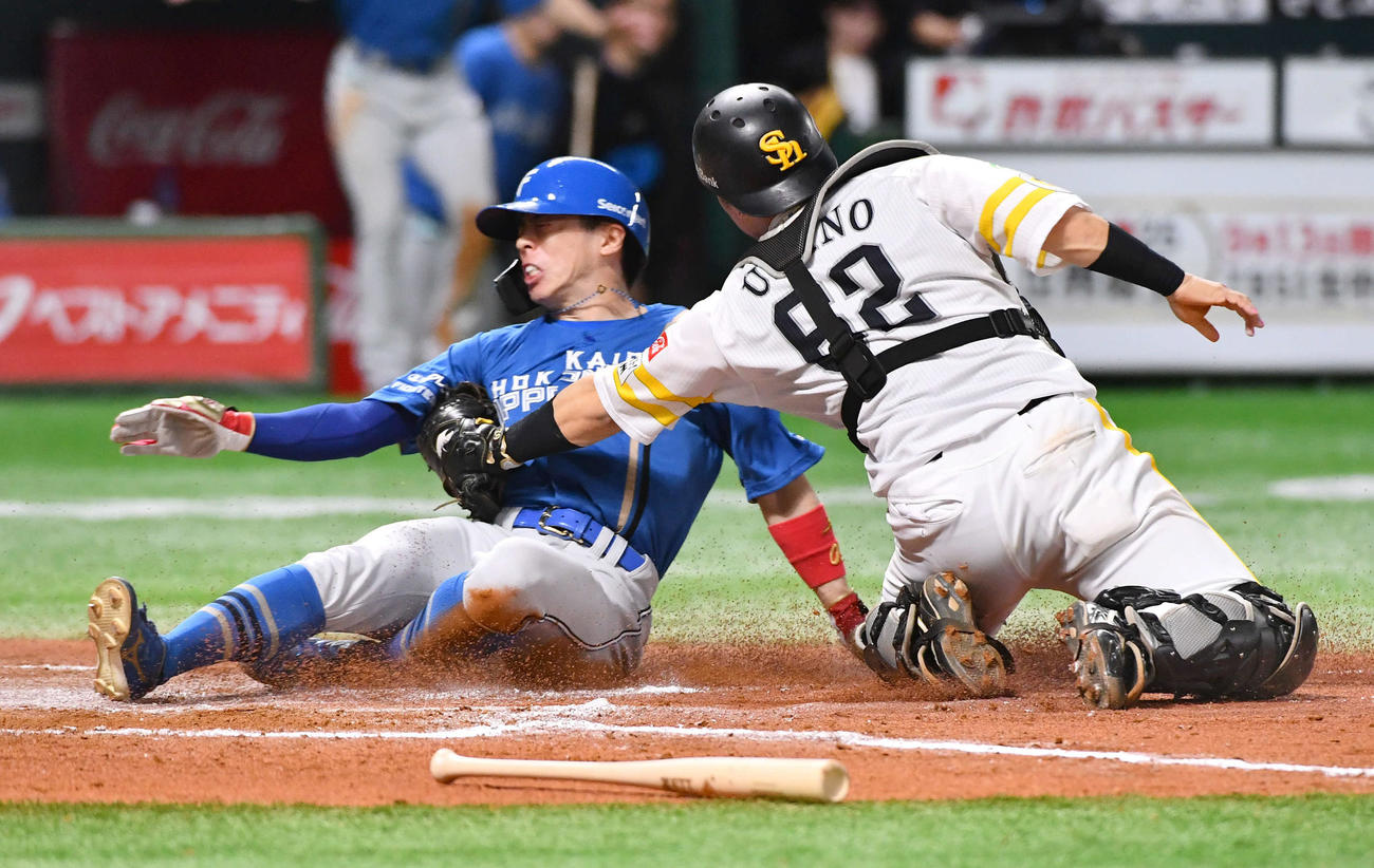 ソフトバンク対日本ハム　8回表日本ハム1死二、三塁、石井のスクイズで二塁から生還を狙うもアウトとなった五十幡（撮影・岩下翔太）