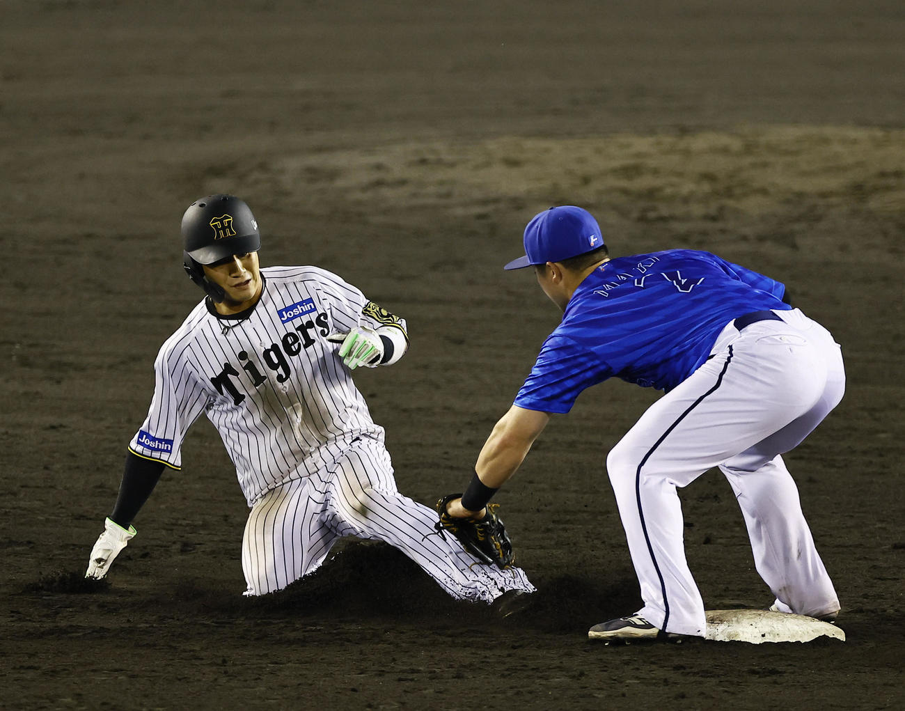 阪神対DeNA 7回裏阪神2死一塁、打者梅野のとき木浪が二盗失敗する。野手牧（撮影・藤尾明華）