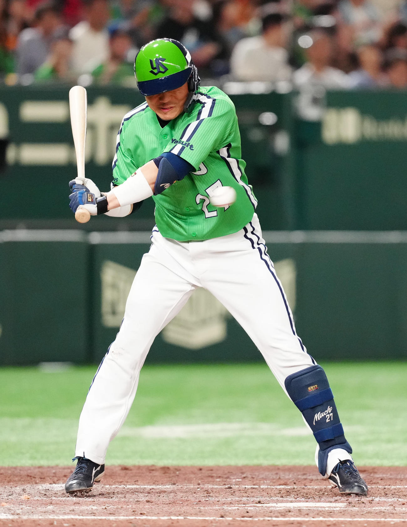 ヤクルト中村悠平（2025年5月24日撮影）