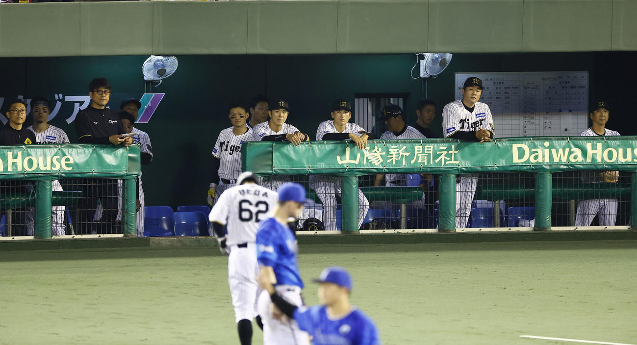 阪神対DeNA 8回裏阪神1死一塁、近本のときけん制でアウトになった代走植田をベンチから見つめる藤川監督（右端）ら（撮影・藤尾明華）