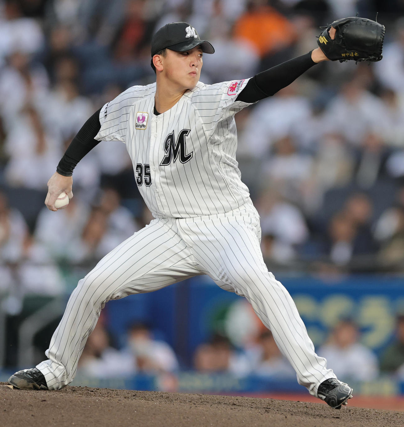 ロッテ対オリックス　ロッテ先発の田中晴（撮影・野上伸悟）