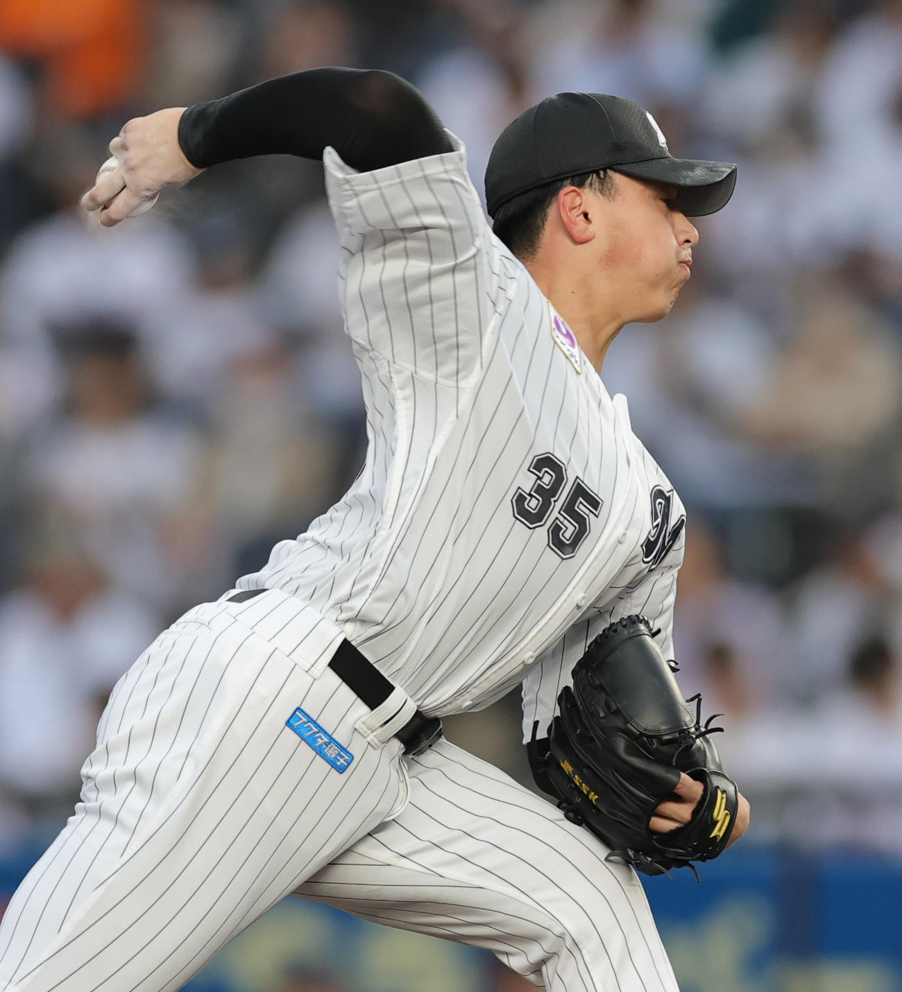 ロッテ対オリックス　ロッテ先発の田中晴（撮影・野上伸悟）