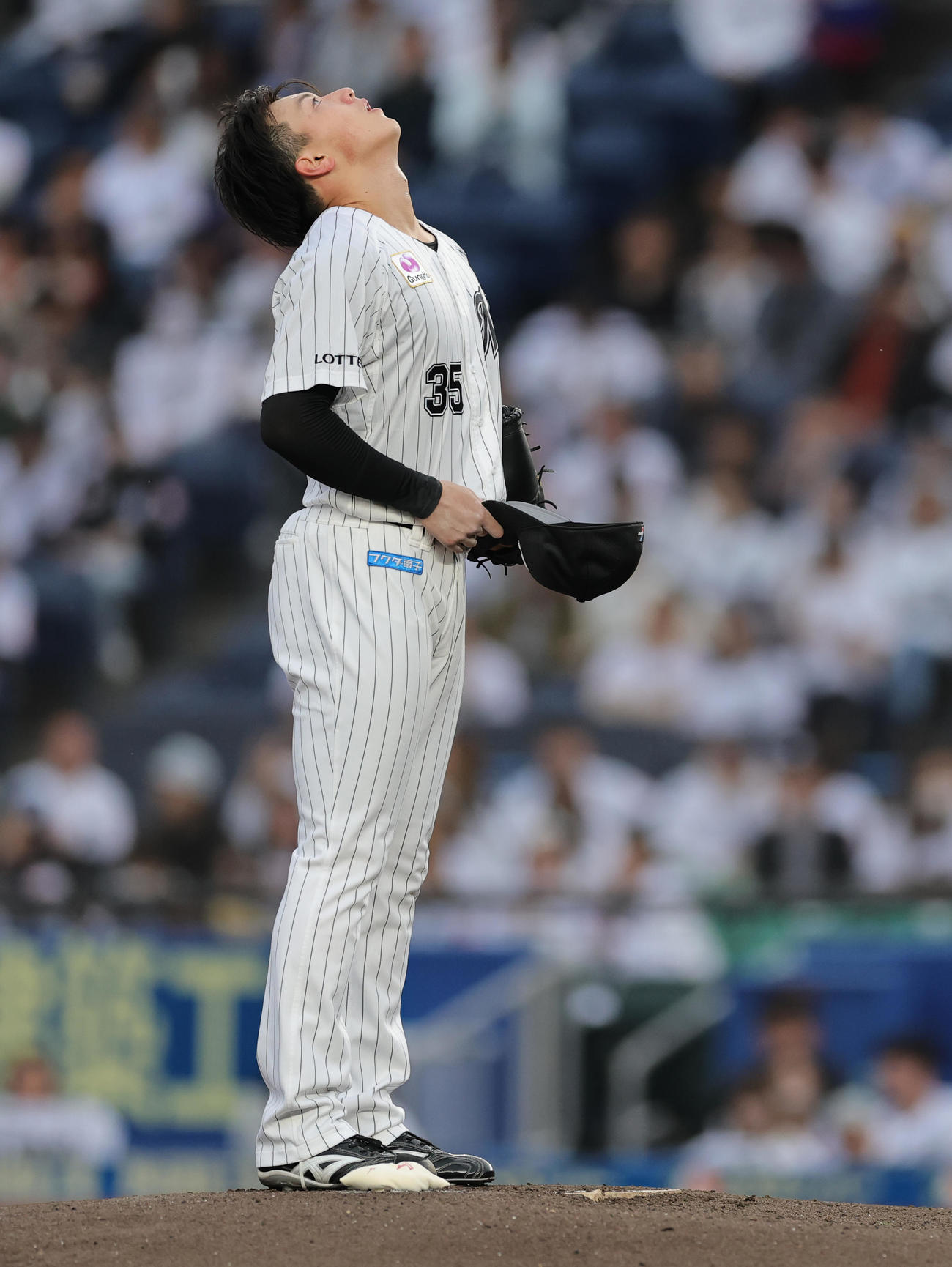 ロッテ対オリックス　プレーボールを前に空を見上げるロッテ先発の田中晴（撮影・野上伸悟）