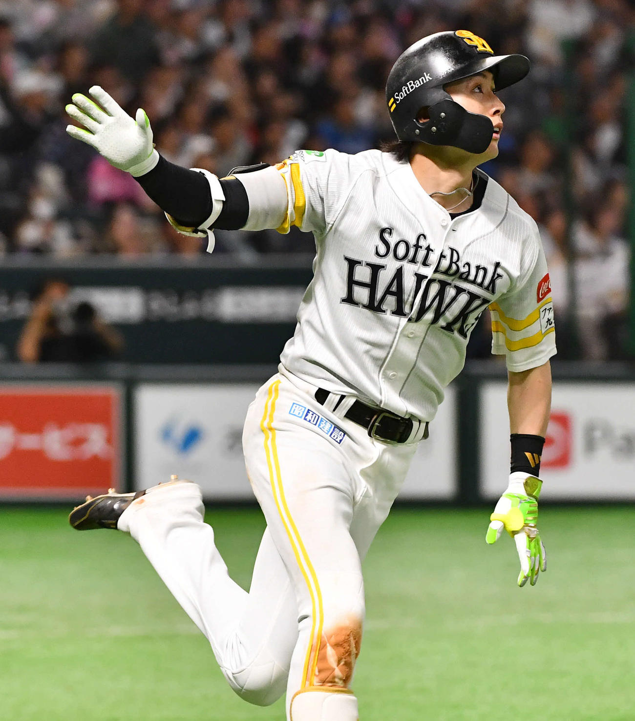 ソフトバンク対日本ハム　5回裏ソフトバンク2死、周東は同点右越え本塁打を放つ（撮影・岩下翔太）