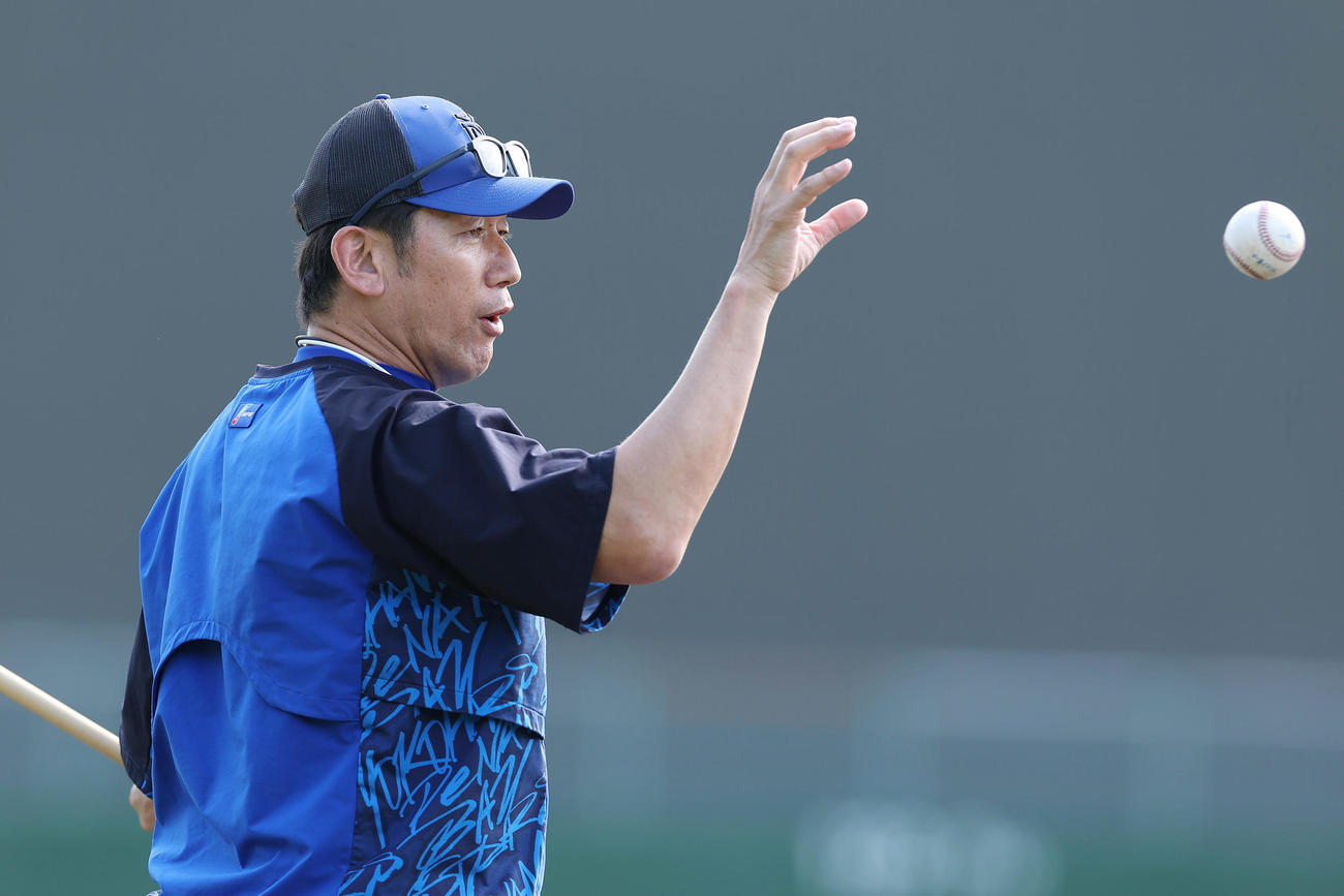 阪神対DeNA　試合前練習で投手にノックを行うDeNA三浦監督（撮影・前田充）