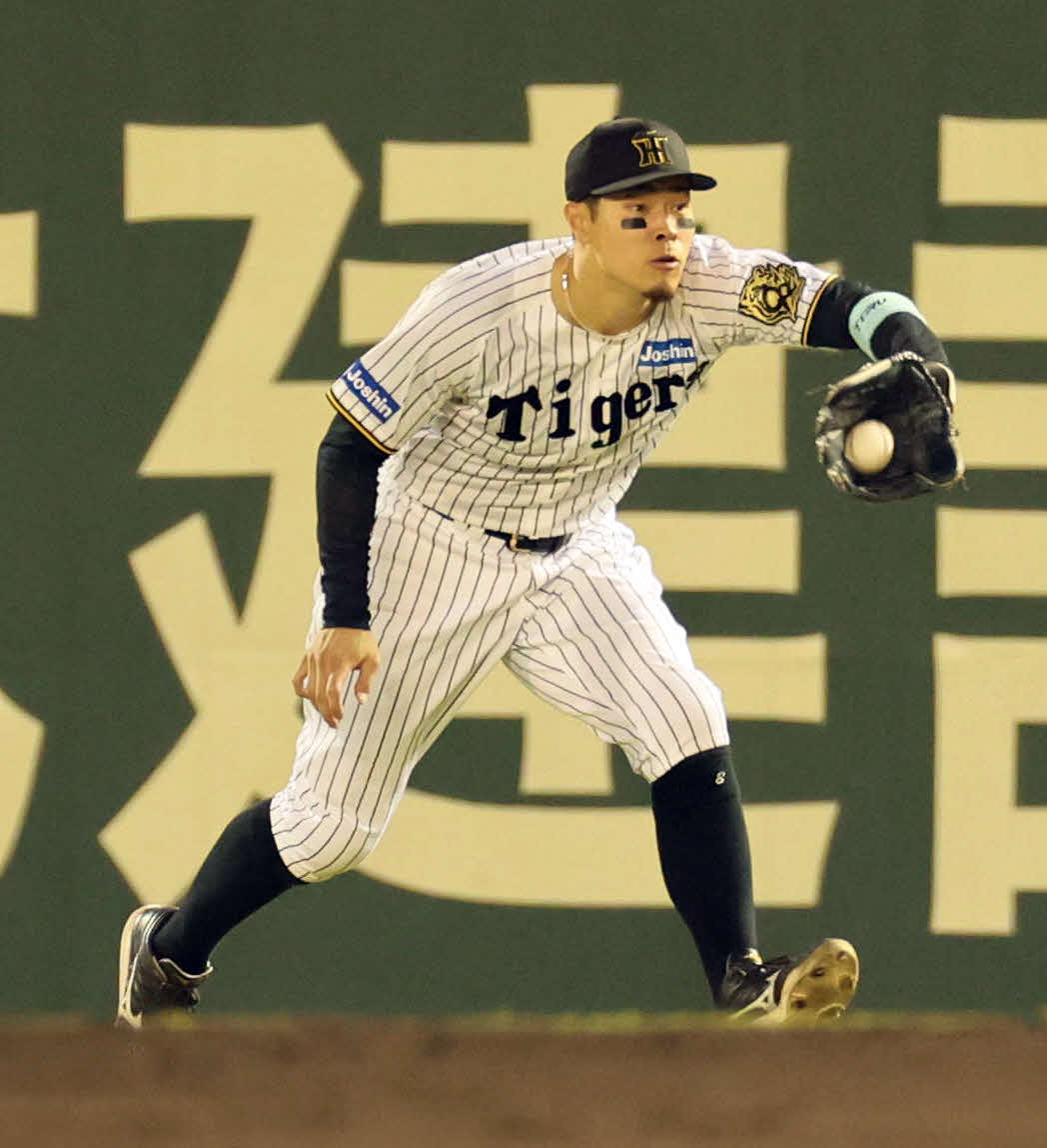 阪神対DeNA 5回表DeNA無死、佐藤輝はバウアーの右飛を捕球する（撮影・宮崎幸一）