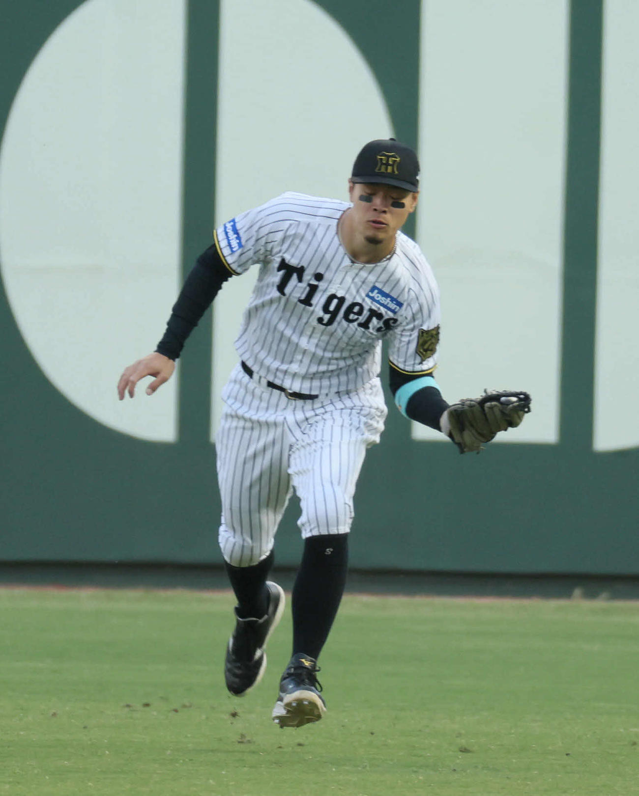 阪神対DeNA 1回表DeNA2死二塁、佐藤輝はオースティンの右比を捕球する（撮影・宮崎幸一）