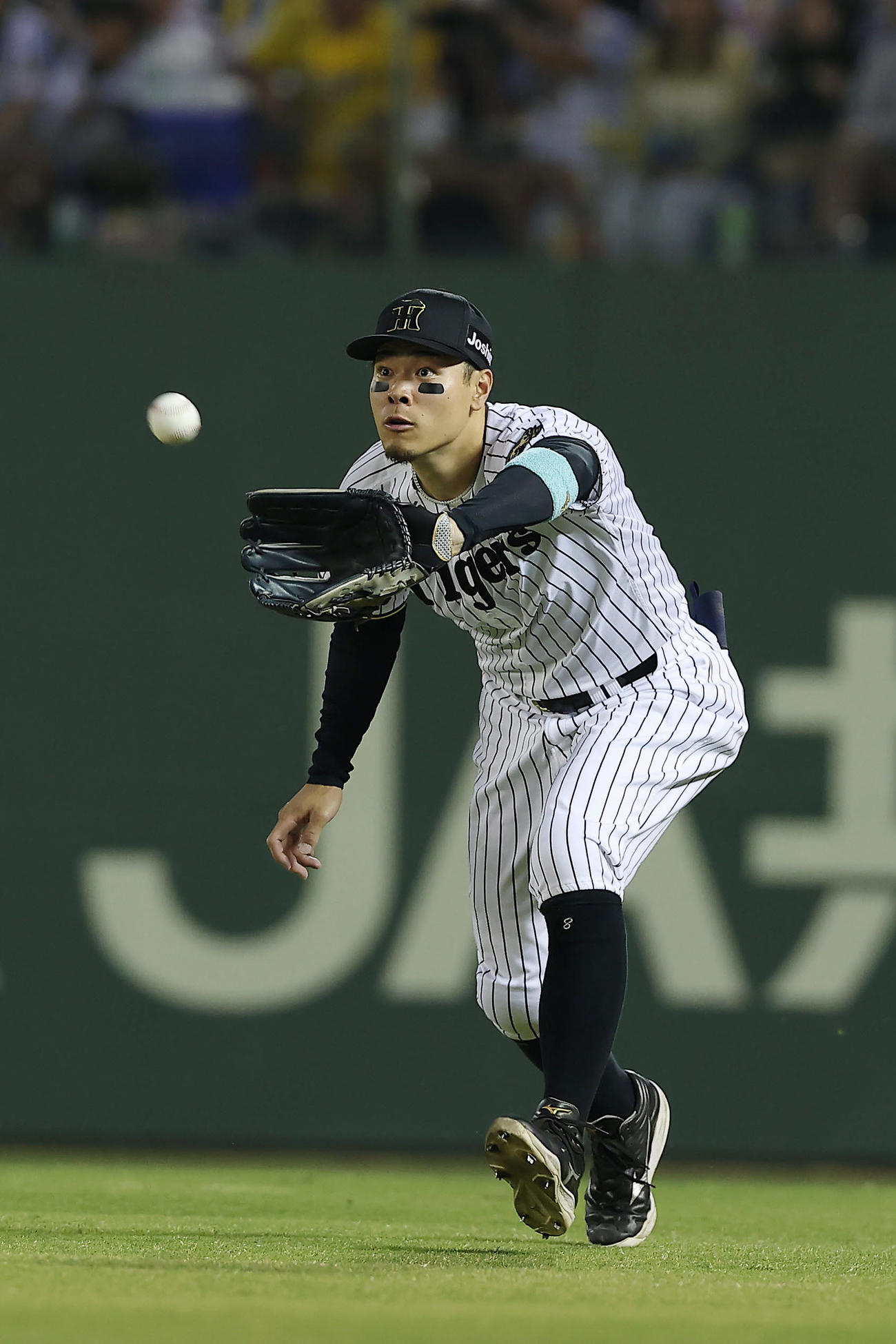 阪神対DeNA 5回表DeNA無死、バウアーの右飛を捕球する佐藤輝（撮影・前田充）