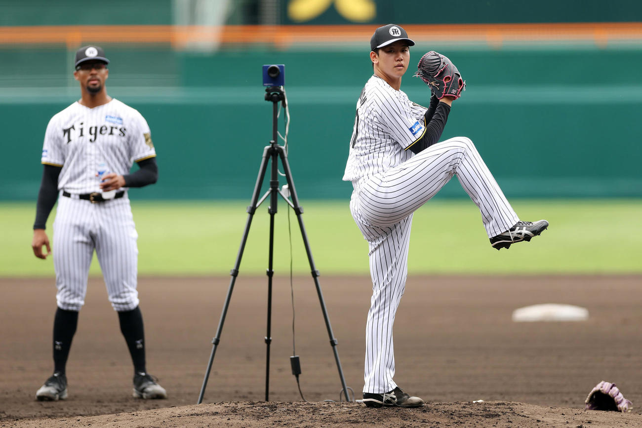 甲子園球場のマウンドで投球練習を行う阪神門別。左はデュプランティエ（2025年5月26日撮影）